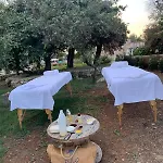 Tenuta Cursano