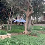 Tenuta Cursano Ξενοδοχείο *