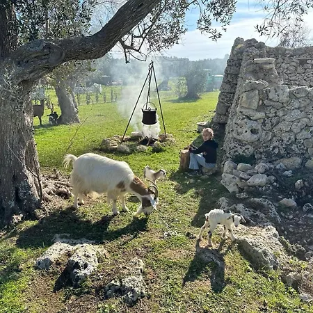 Hotel Tenuta Cursano Santa Cesarea Terme