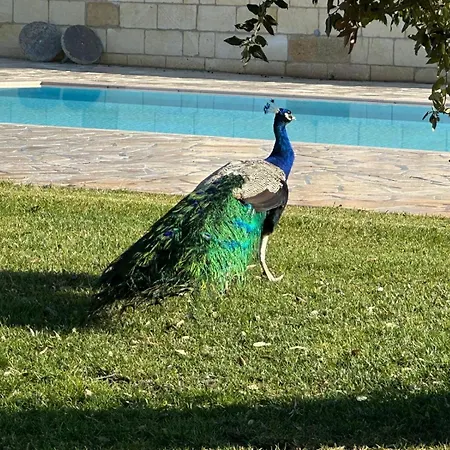 Tenuta Cursano * Santa Cesarea Terme