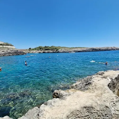 Tenuta Cursano *