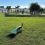 Hotel Tenuta Cursano *