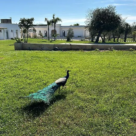 Ξενοδοχείο Tenuta Cursano *