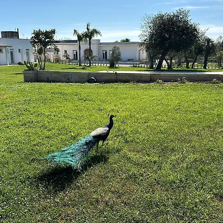 Hotel Tenuta Cursano *
